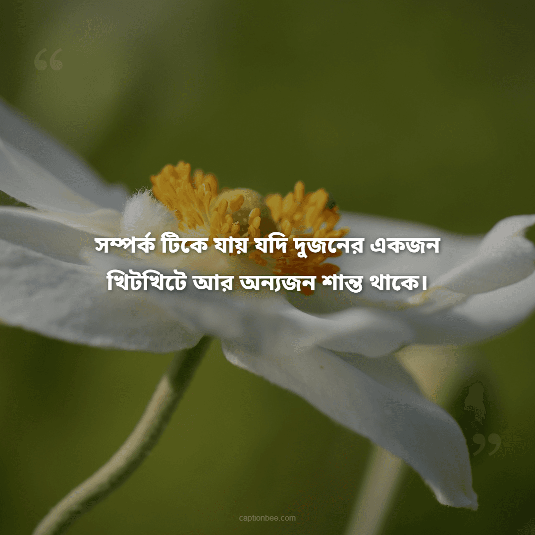 সম্পর্ক টিকে যায় যদি দুজনের একজন খিটখিটে আর অন্যজন শান্ত থাকে।