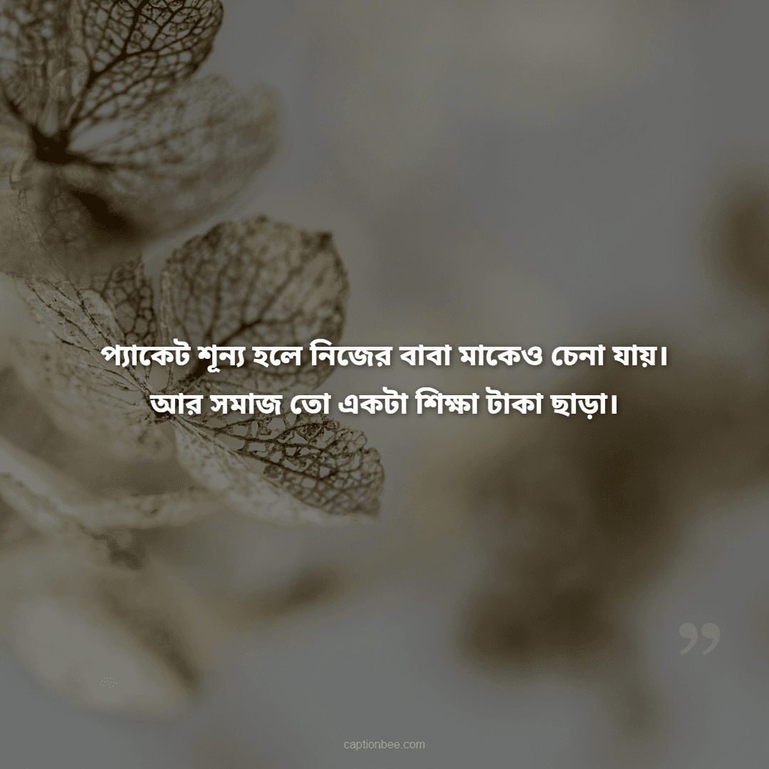 প্যাকেট শূন্য হলে নিজের বাবা মাকেও চেনা যায়। আর সমাজ তো একটা শিক্ষা টাকা ছাড়া।
