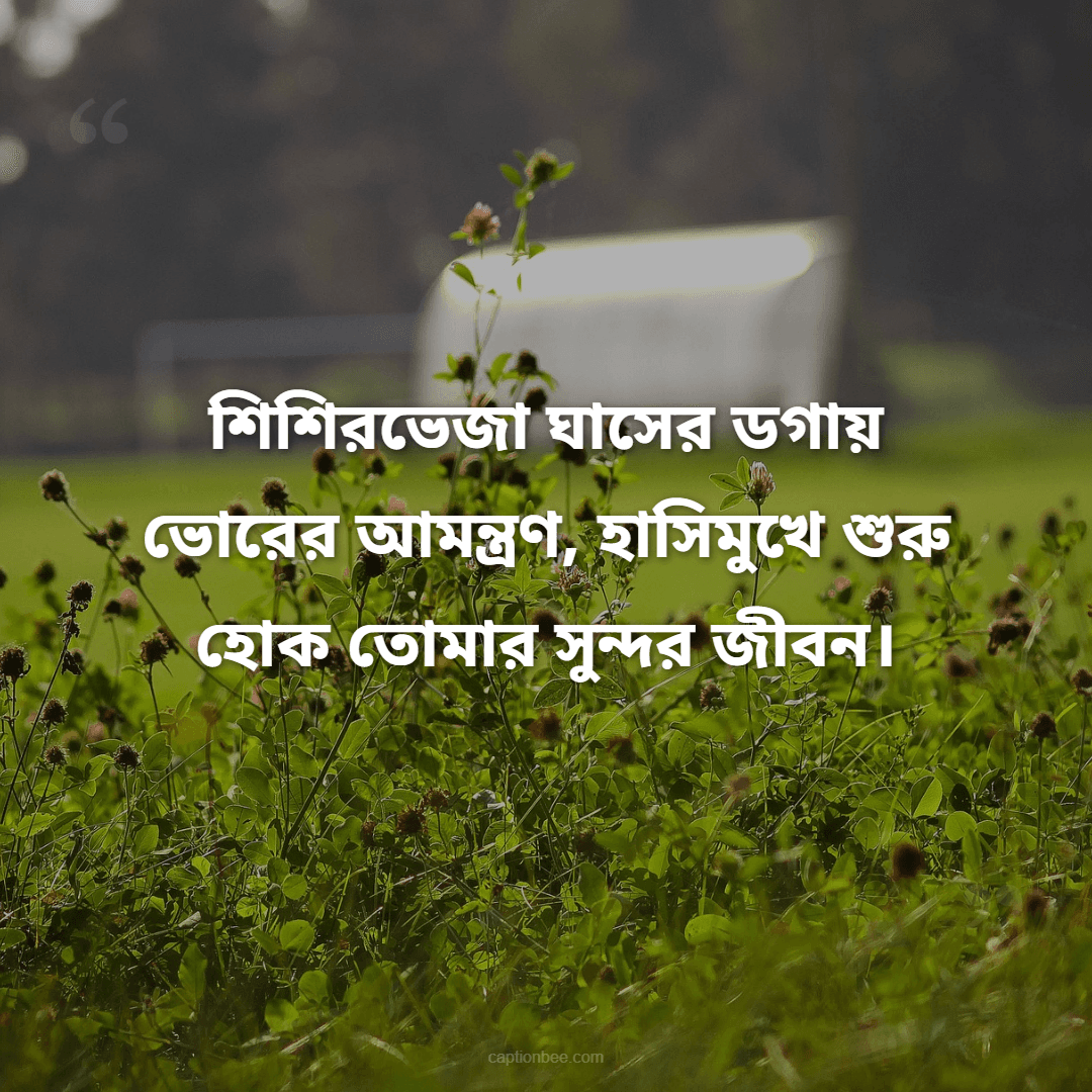 শিশিরভেজা ঘাসের ডগায় ভোরের আমন্ত্রণ, হাসিমুখে শুরু হোক তোমার সুন্দর জীবন।