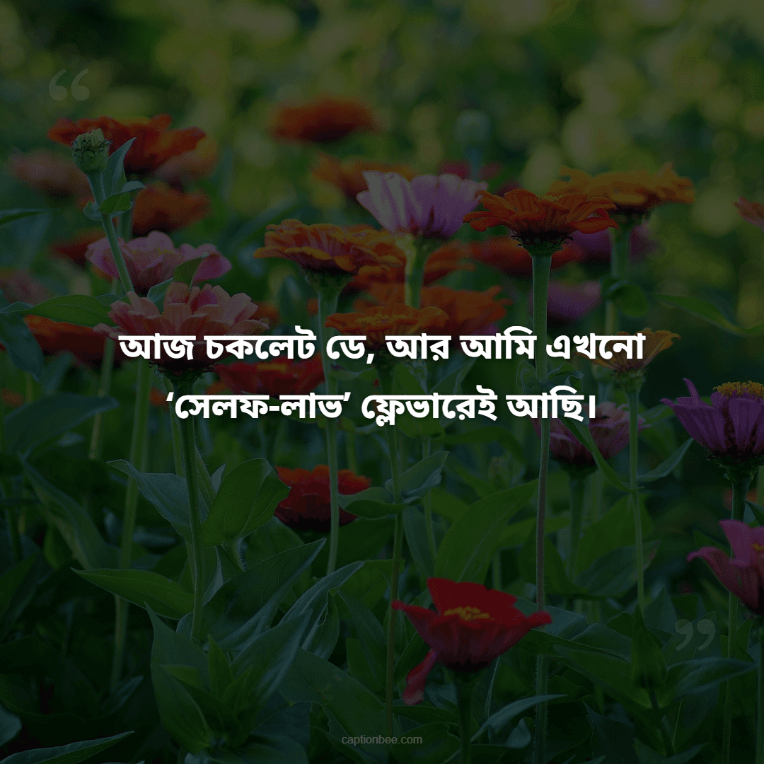আজ চকলেট ডে, আর আমি এখনো ‘সেলফ-লাভ’ ফ্লেভারেই আছি।