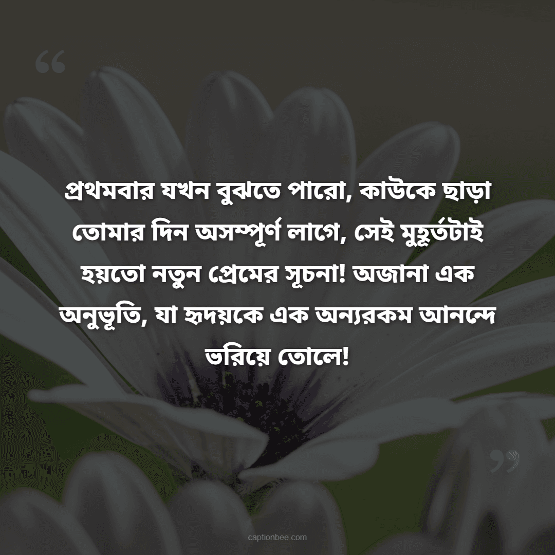 প্রথমবার যখন বুঝতে পারো, কাউকে ছাড়া তোমার দিন অসম্পূর্ণ লাগে, সেই মুহূর্তটাই হয়তো নতুন প্রেমের সূচনা! অজানা এক অনুভূতি, যা হৃদয়কে এক অন্যরকম আনন্দে ভরিয়ে তোলে!