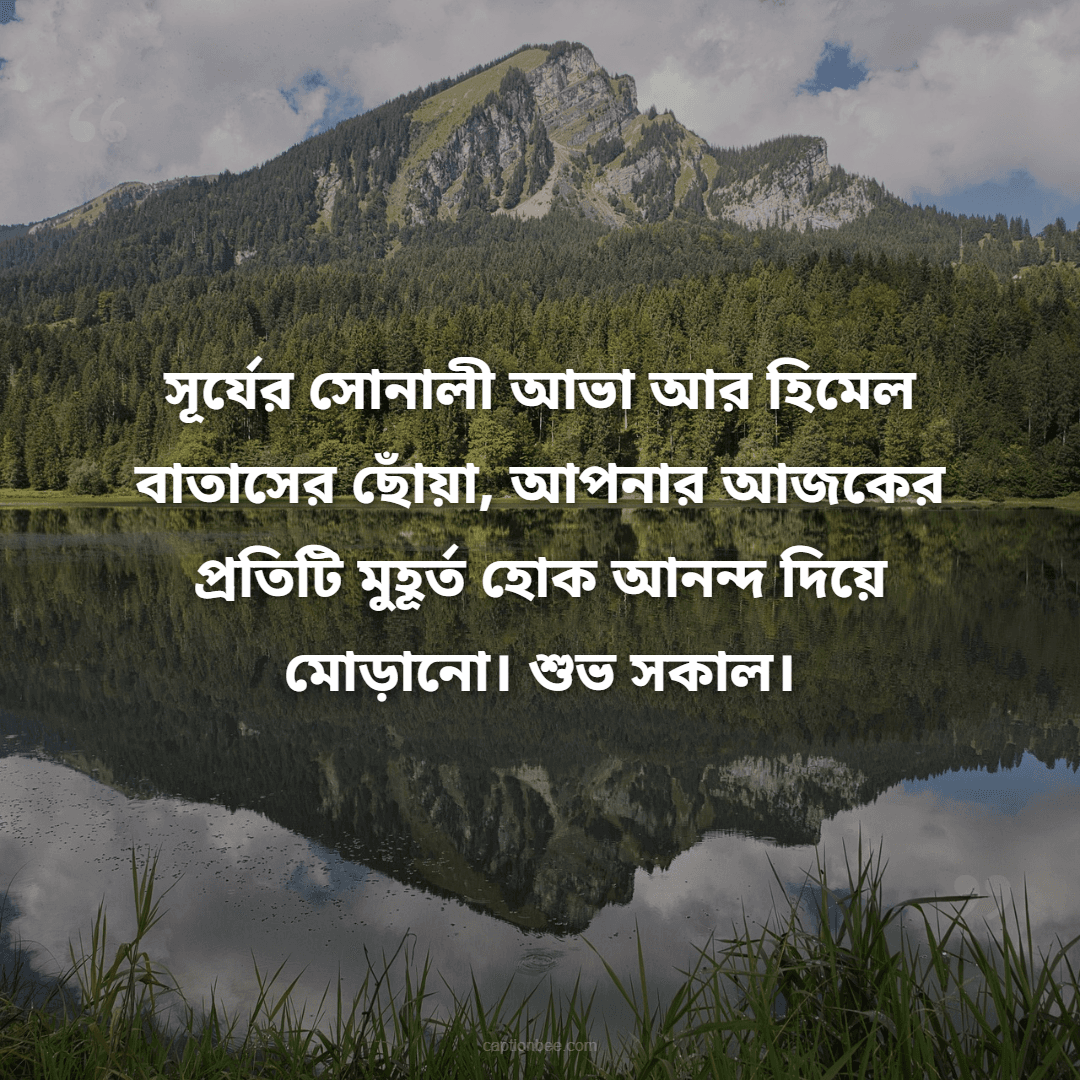 সূর্যের সোনালী আভা আর হিমেল বাতাসের ছোঁয়া, আপনার আজকের প্রতিটি মুহূর্ত হোক আনন্দ দিয়ে মোড়ানো। শুভ সকাল।