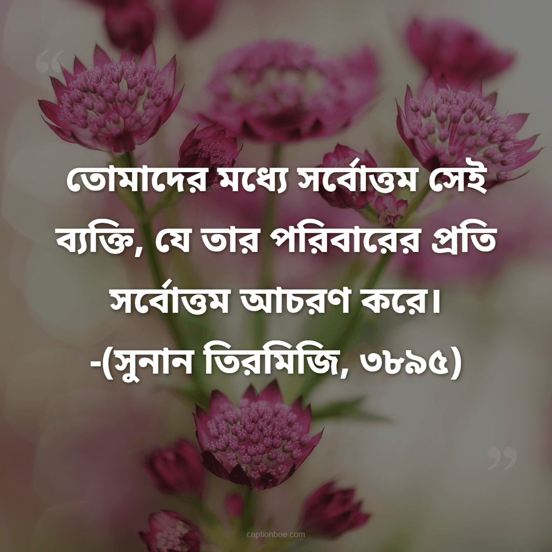 তোমাদের মধ্যে সর্বোত্তম সেই ব্যক্তি, যে তার পরিবারের প্রতি সর্বোত্তম আচরণ করে। -(সুনান তিরমিজি, ৩৮৯৫)