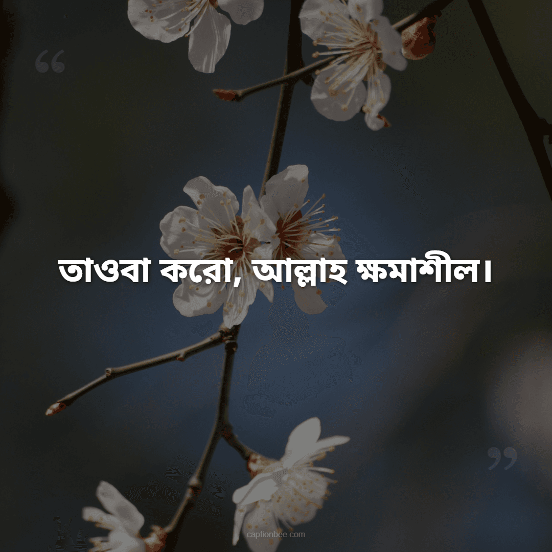 ইমান অর্জন করো, দোলনা থেকে কবর পর্যন্ত।