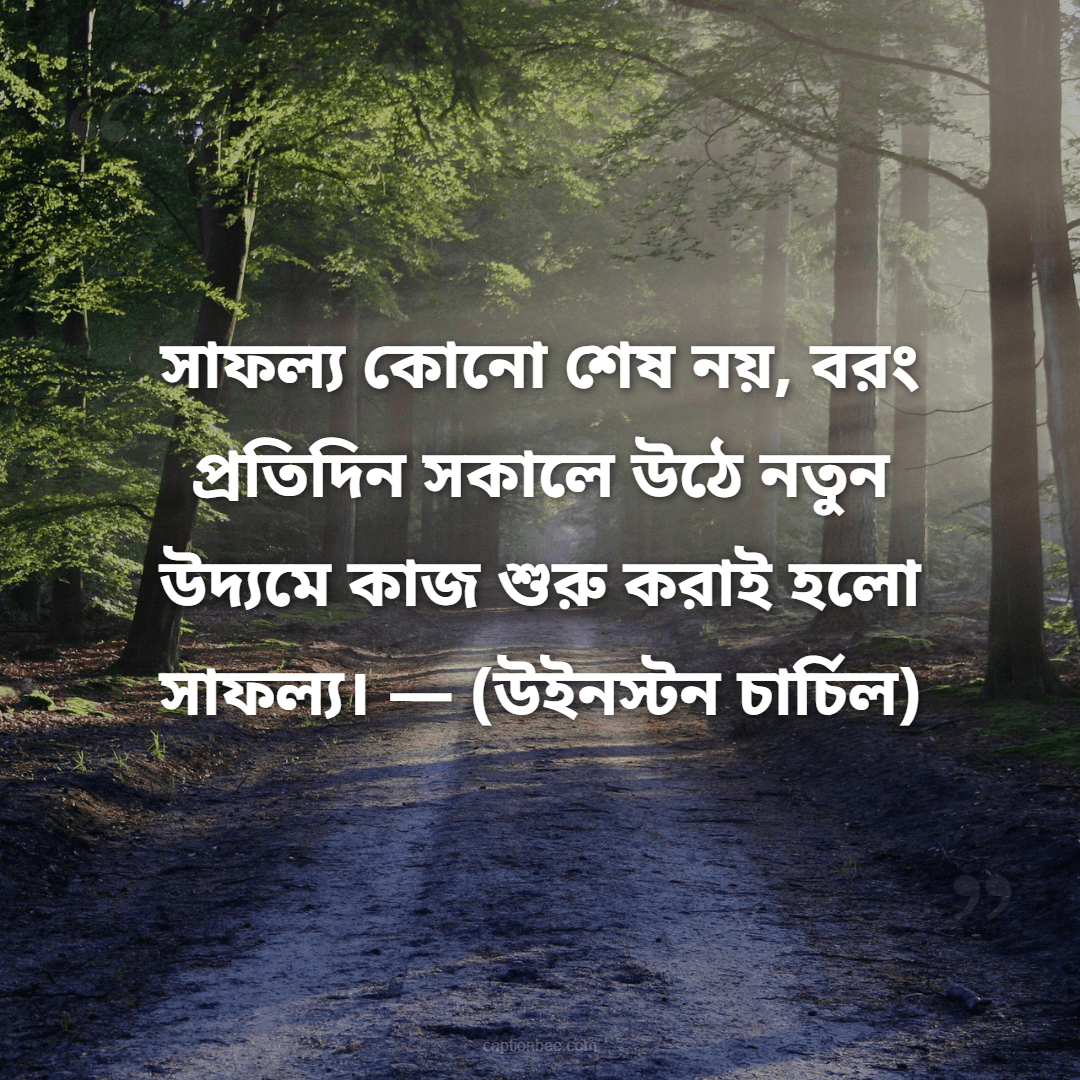 সাফল্য কোনো শেষ নয়, বরং প্রতিদিন সকালে উঠে নতুন উদ্যমে কাজ শুরু করাই হলো সাফল্য। — উইনস্টন চার্চিল