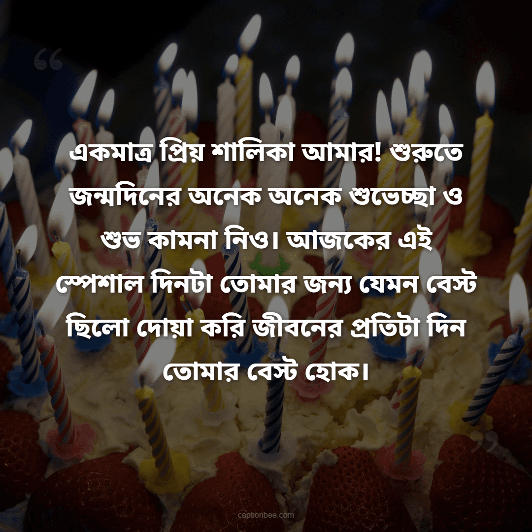 একমাত্র  প্রিয় শালিকা আমার! শুরুতে জন্মদিনের অনেক অনেক শুভেচ্ছা ও শুভ কামনা নিও। আজকের এই স্পেশাল দিনটা তোমার জন্য যেমন বেস্ট ছিলো দোয়া করি জীবনের প্রতিটা দিন তোমার বেস্ট হোক।