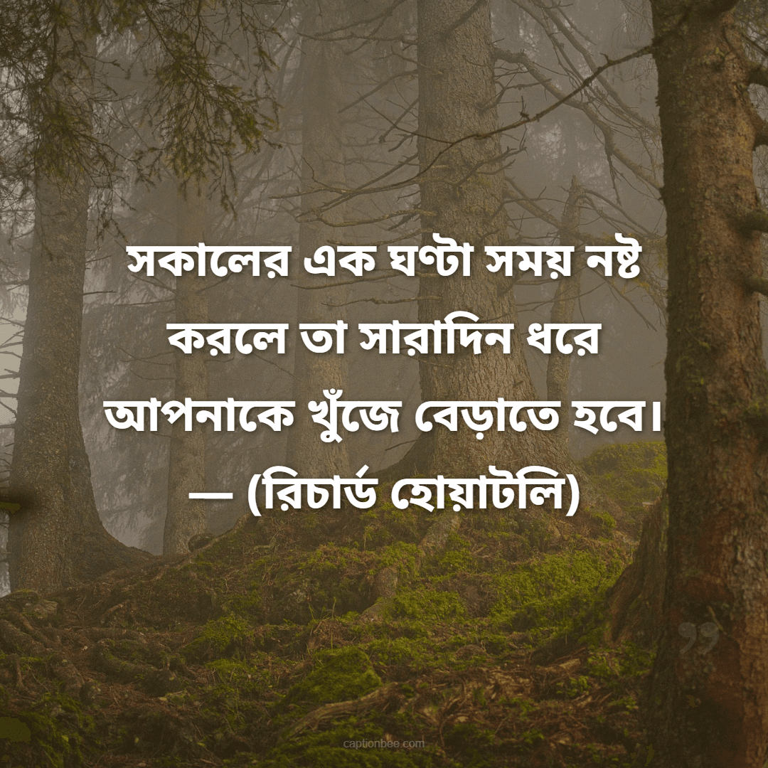 সকালের এক ঘণ্টা সময় নষ্ট করলে তা সারাদিন ধরে আপনাকে খুঁজে বেড়াতে হবে। — (রিচার্ড হোয়াটলি)