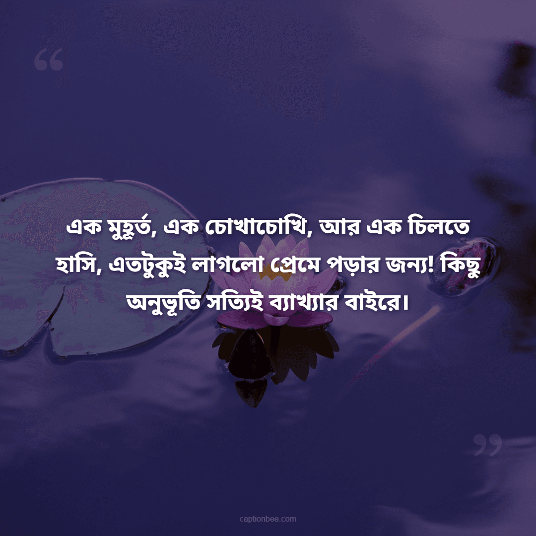 এক মুহূর্ত, এক চোখাচোখি, আর এক চিলতে হাসি, এতটুকুই লাগলো প্রেমে পড়ার জন্য! কিছু অনুভূতি সত্যিই ব্যাখ্যার বাইরে।
