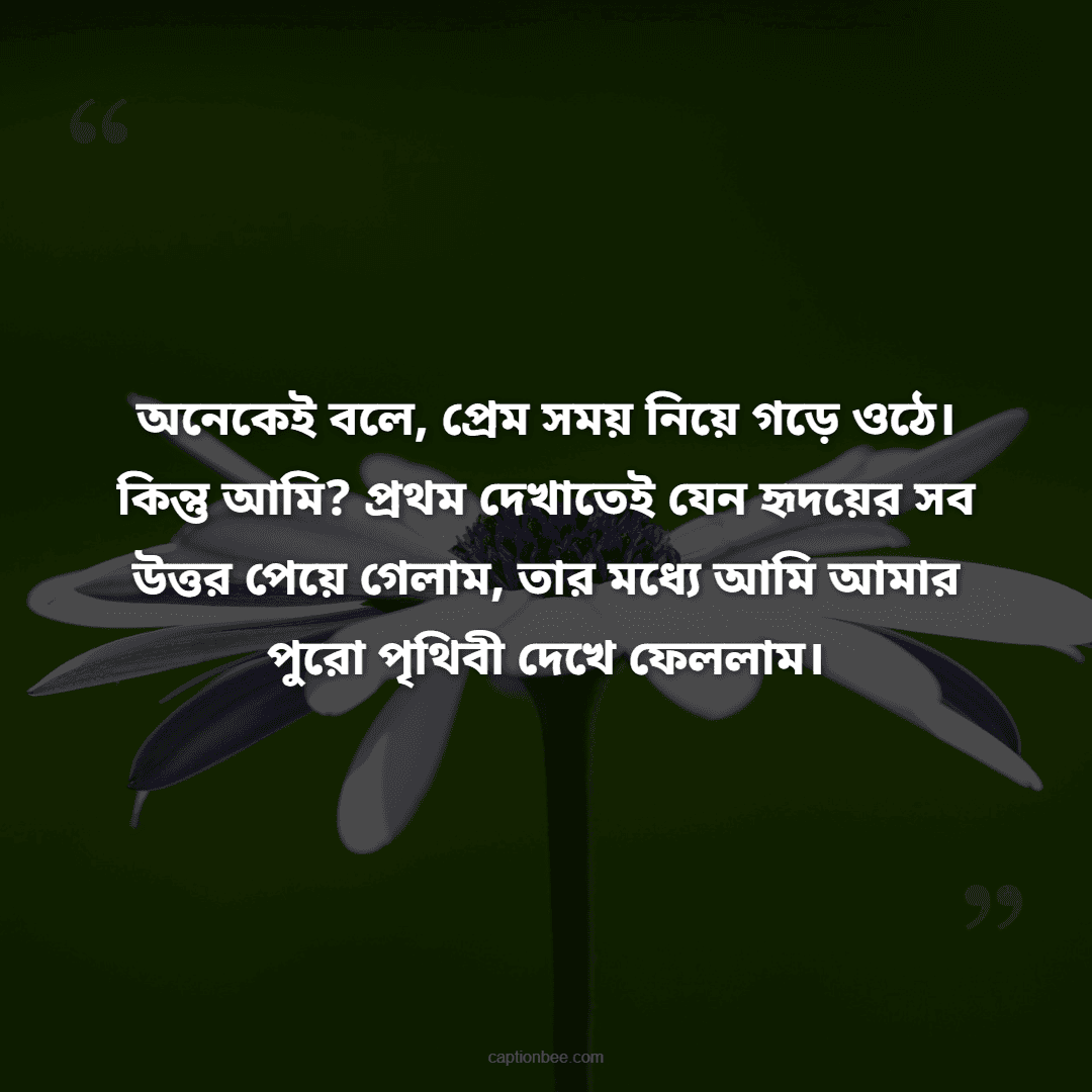 অনেকেই বলে, প্রেম সময় নিয়ে গড়ে ওঠে। কিন্তু আমি প্রথম দেখাতেই যেন হৃদয়ের সব উত্তর পেয়ে গেলাম, তার মধ্যে আমি আমার পুরো পৃথিবী দেখে ফেললাম।