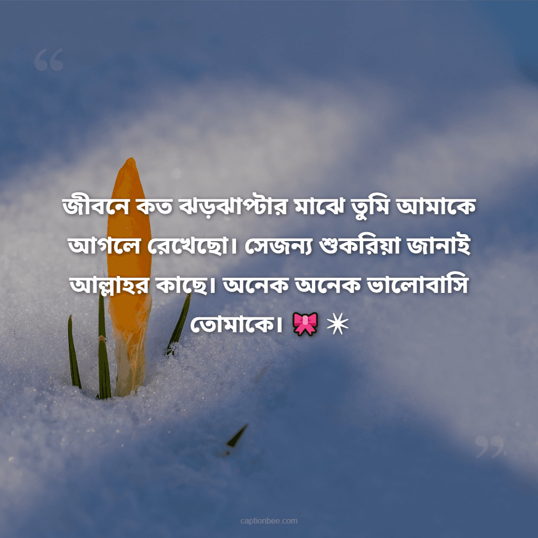 জীবনে কত ঝড়ঝাপ্টার মাঝে তুমি আমাকে আগলে রেখেছো। সেজন্য শুকরিয়া জানাই আল্লাহর কাছে। অনেক অনেক ভালোবাসি তোমাকে।