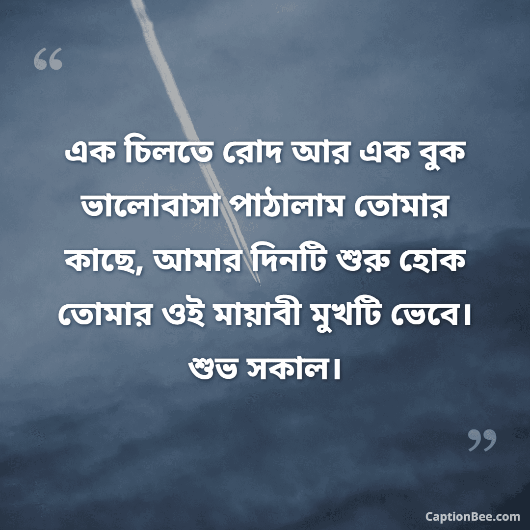 এক চিলতে রোদ আর এক বুক ভালোবাসা পাঠালাম তোমার কাছে, আমার দিনটি শুরু হোক তোমার ওই মায়াবী মুখটি ভেবে। শুভ সকাল।