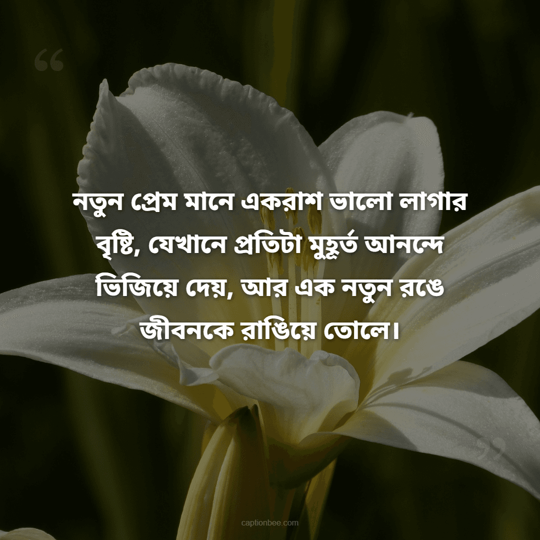নতুন প্রেম মানে একরাশ ভালো লাগার বৃষ্টি, যেখানে প্রতিটা মুহূর্ত আনন্দে ভিজিয়ে দেয়, আর এক নতুন রঙে জীবনকে রাঙিয়ে তোলে।