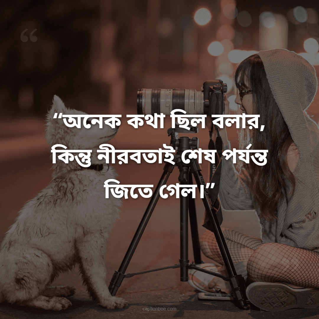 অনেক কথা ছিল বলার, কিন্তু নীরবতাই শেষ পর্যন্ত জিতে গেল।
