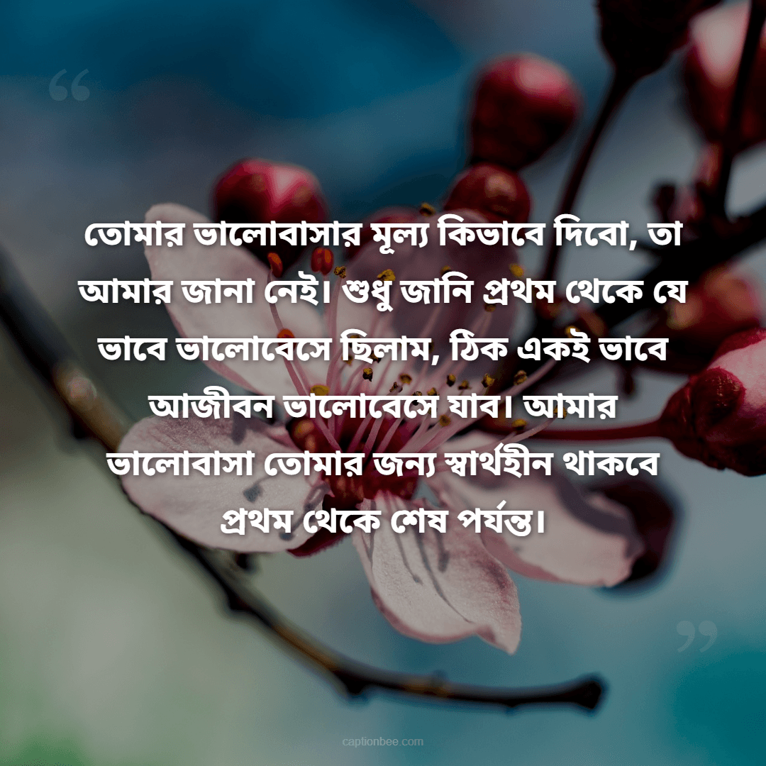 তোমার ভালোবাসার মূল্য কিভাবে দিবো, তা আমার জানা নেই। শুধু জানি প্রথম থেকে যে ভাবে ভালোবেসে ছিলাম, ঠিক একই ভাবে আজীবন ভালোবেসে যাব। আমার ভালোবাসা তোমার জন্য স্বার্থহীন থাকবে প্রথম থেকে শেষ পর্যন্ত।