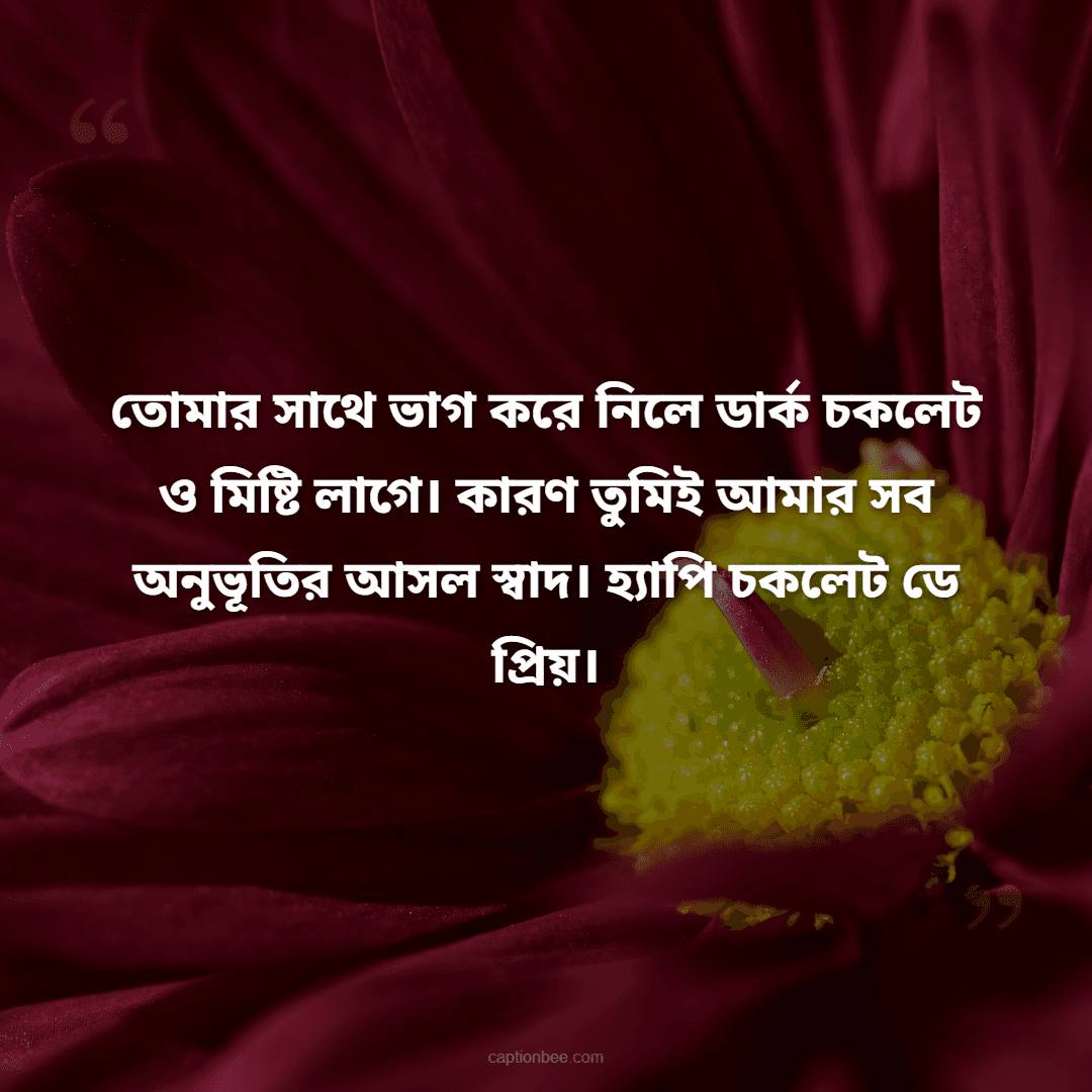 তোমার সাথে ভাগ করে নিলে ডার্ক চকলেট ও মিষ্টি লাগে। কারণ তুমিই আমার সব অনুভূতির আসল স্বাদ। হ্যাপি চকলেট ডে প্রিয়।