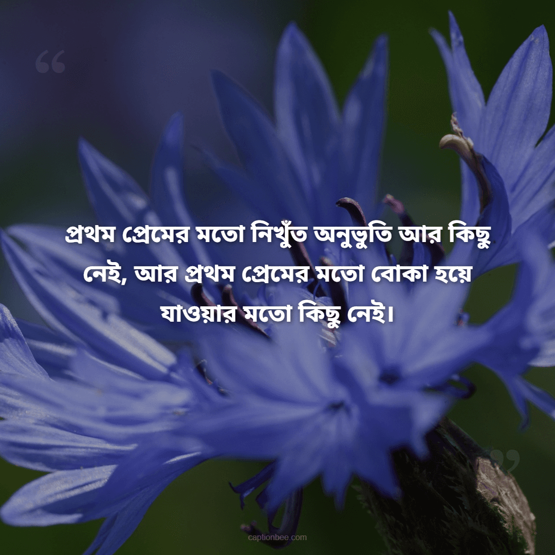 প্রথম প্রেমের মতো নিখুঁত অনুভুতি আর কিছু নেই, আর প্রথম প্রেমের মতো বোকা হয়ে যাওয়ার মতো কিছু নেই।