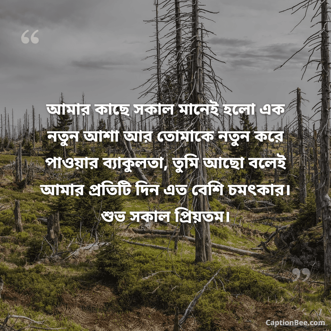 আমার কাছে সকাল মানেই হলো এক নতুন আশা আর তোমাকে নতুন করে পাওয়ার ব্যাকুলতা, তুমি আছো বলেই আমার প্রতিটি দিন এত বেশি চমৎকার। শুভ সকাল প্রিয়তম।