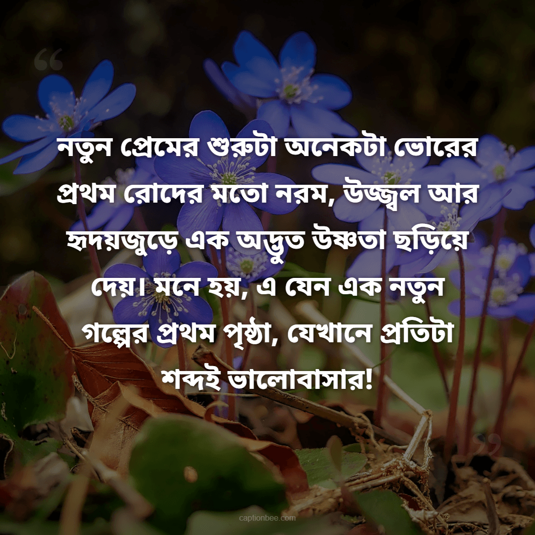 নতুন প্রেমের শুরুটা অনেকটা ভোরের প্রথম রোদের মতো নরম, উজ্জ্বল আর হৃদয়জুড়ে এক অদ্ভুত উষ্ণতা ছড়িয়ে দেয়। মনে হয়, এ যেন এক নতুন গল্পের প্রথম পৃষ্ঠা, যেখানে প্রতিটা শব্দই ভালোবাসার!