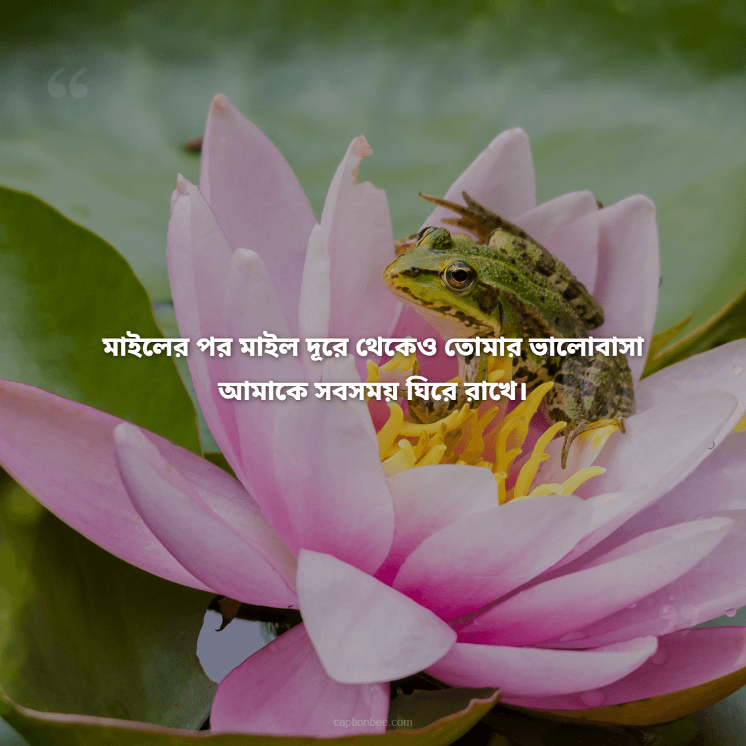 মাইলের পর মাইল দূরে থেকেও তোমার ভালোবাসা আমাকে সবসময় ঘিরে রাখে।