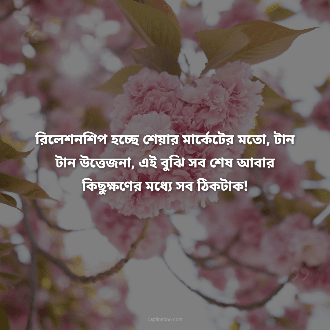 রিলেশনশিপ হচ্ছে শেয়ার মার্কেটের মতো, টান টান উত্তেজনা, এই বুঝি সব শেষ আবার কিছুক্ষণের মধ্যে সব ঠিকটাক!