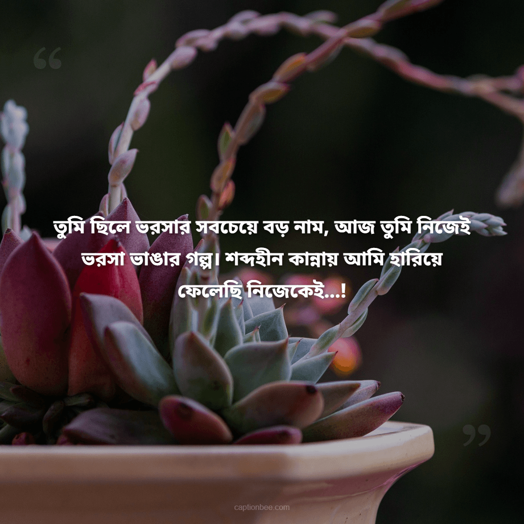 তুমি ছিলে ভরসার সবচেয়ে বড় নাম, আজ তুমি নিজেই ভরসা ভাঙার গল্প। শব্দহীন কান্নায় আমি হারিয়ে ফেলেছি নিজেকেই…!