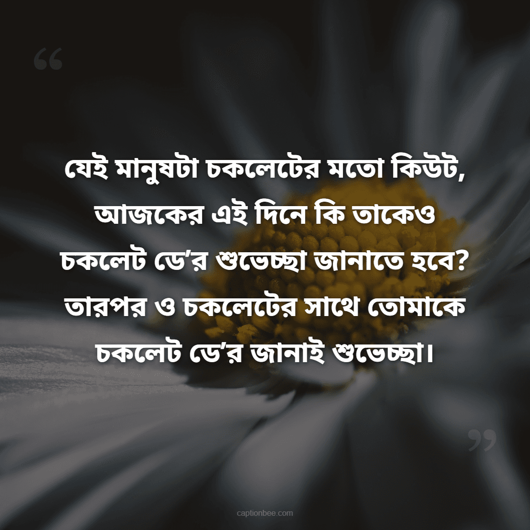 যেই মানুষটা চকলেটের মতো কিউট, আজকের এই দিনে কি তাকেও চকলেট ডে’র শুভেচ্ছা জানাতে হবে তারপর ও চকলেটের সাথে তোমাকে  চকলেট ডে’র জানাই শুভেচ্ছা।