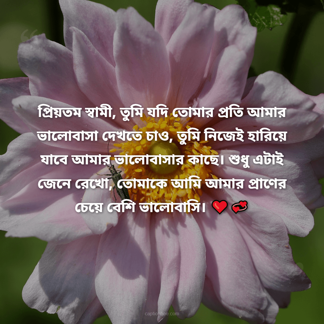 প্রিয়তম স্বামী, তুমি যদি তোমার প্রতি আমার ভালোবাসা দেখতে চাও, তুমি নিজেই হারিয়ে যাবে আমার ভালোবাসার কাছে। শুধু এটাই জেনে রেখো, তোমাকে আমি আমার প্রাণের চেয়ে বেশি ভালোবাসি।