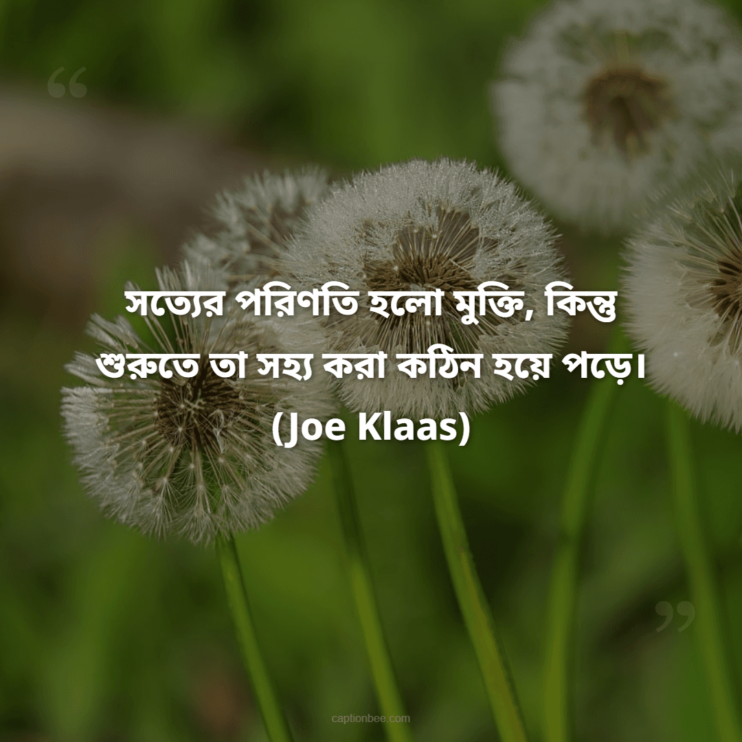 সত্যের পরিণতি হলো মুক্তি, কিন্তু শুরুতে তা সহ্য করা কঠিন হয়ে পড়ে। — Joe Klaas