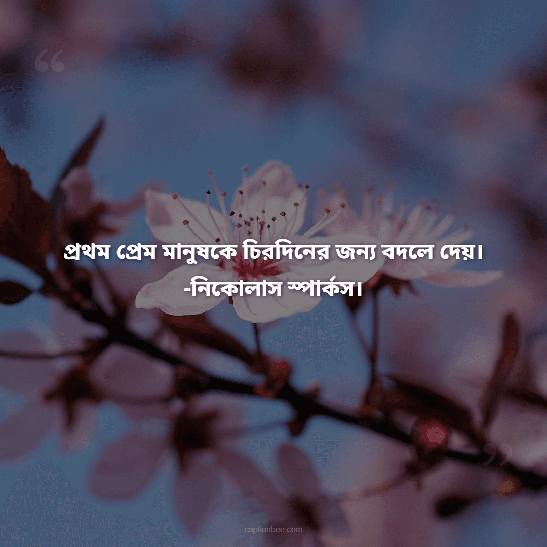 প্রথম প্রেম মানুষকে চিরদিনের জন্য বদলে দেয়। -নিকোলাস স্পার্কস।