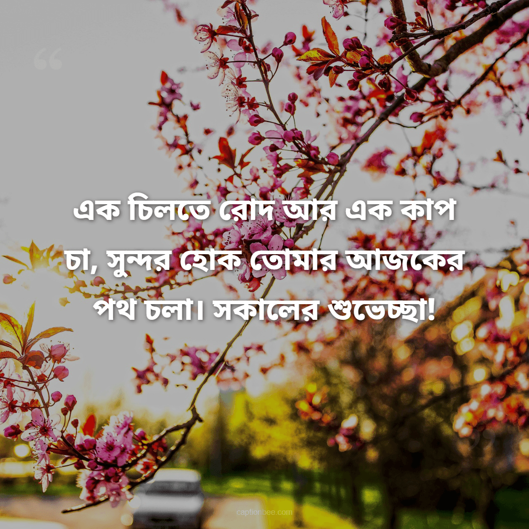 এক চিলতে রোদ আর এক কাপ চা, সুন্দর হোক তোমার আজকের পথ চলা। সকালের শুভেচ্ছা!
