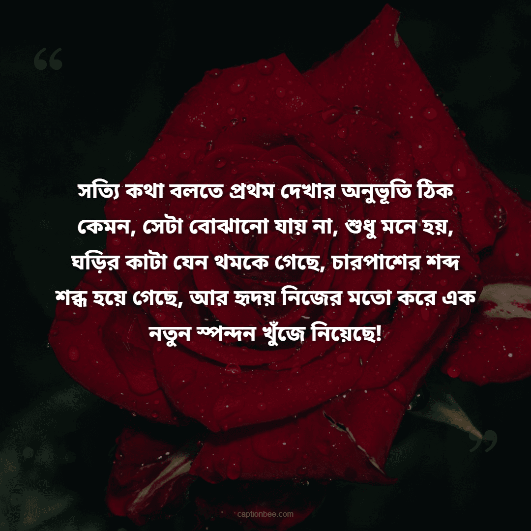 সত্যি কথা বলতে প্রথম দেখার অনুভূতি ঠিক কেমন, সেটা বোঝানো যায় না, শুধু মনে হয়, ঘড়ির কাটা যেন থমকে গেছে, চারপাশের শব্দ শব্ধ হয়ে গেছে, আর হৃদয় নিজের মতো করে এক নতুন স্পন্দন খুঁজে নিয়েছে!