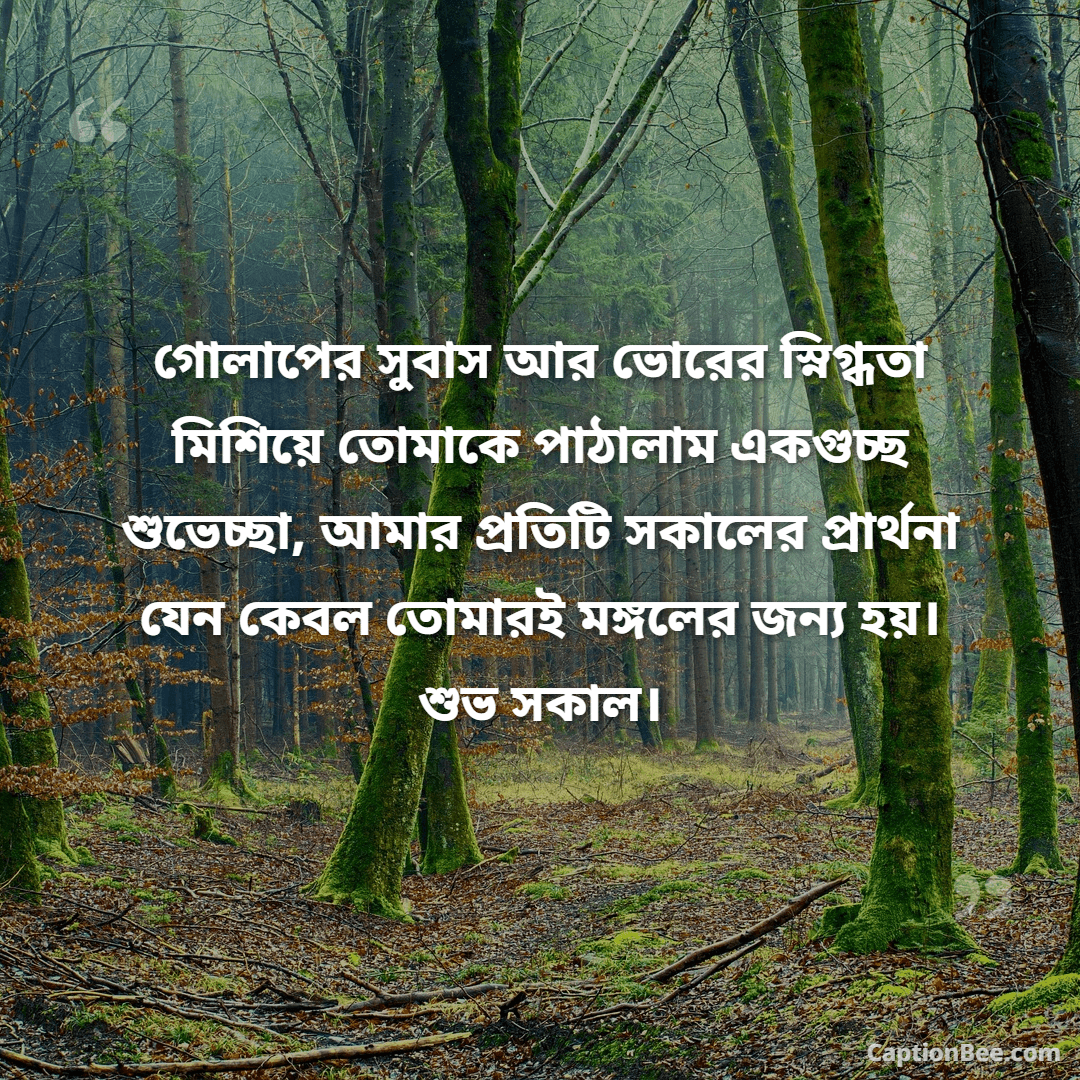 গোলাপের সুবাস আর ভোরের স্নিগ্ধতা মিশিয়ে তোমাকে পাঠালাম একগুচ্ছ শুভেচ্ছা, আমার প্রতিটি সকালের প্রার্থনা যেন কেবল তোমারই মঙ্গলের জন্য হয়। শুভ সকাল।
