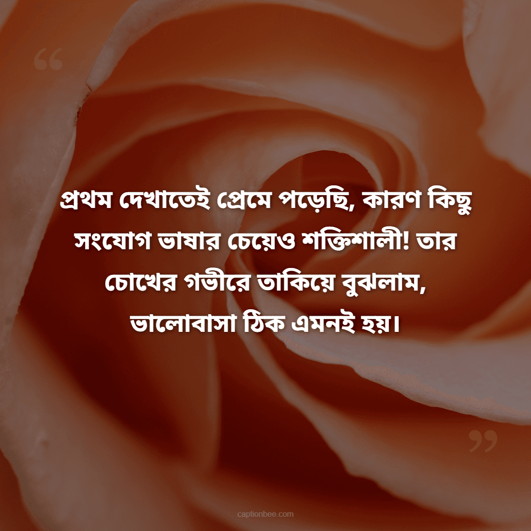 প্রথম দেখাতেই প্রেমে পড়েছি, কারণ কিছু সংযোগ ভাষার চেয়েও শক্তিশালী! তার চোখের গভীরে তাকিয়ে বুঝলাম, ভালোবাসা ঠিক এমনই হয়।