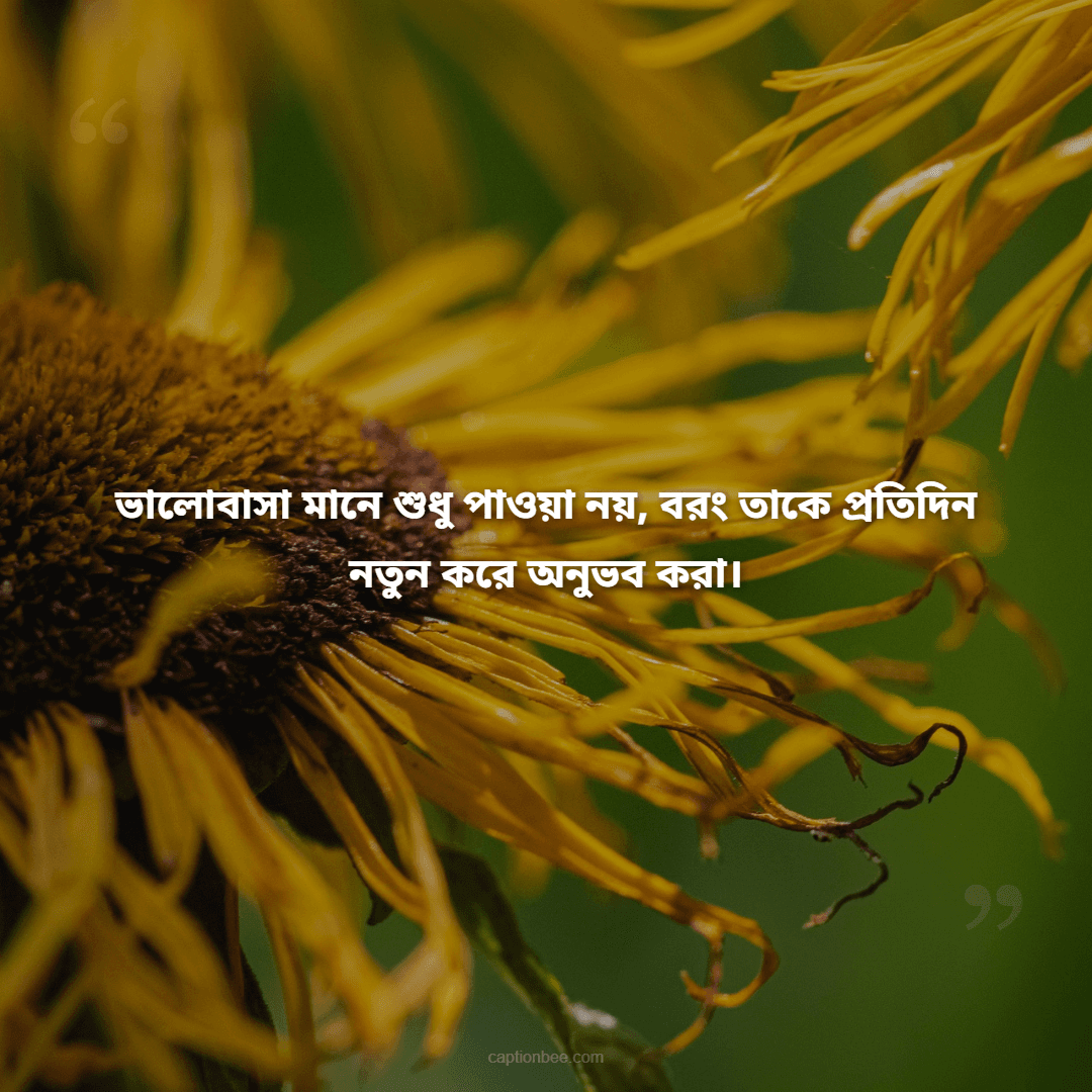 ভালোবাসা মানে শুধু পাওয়া নয়, বরং তাকে প্রতিদিন নতুন করে অনুভব করা।