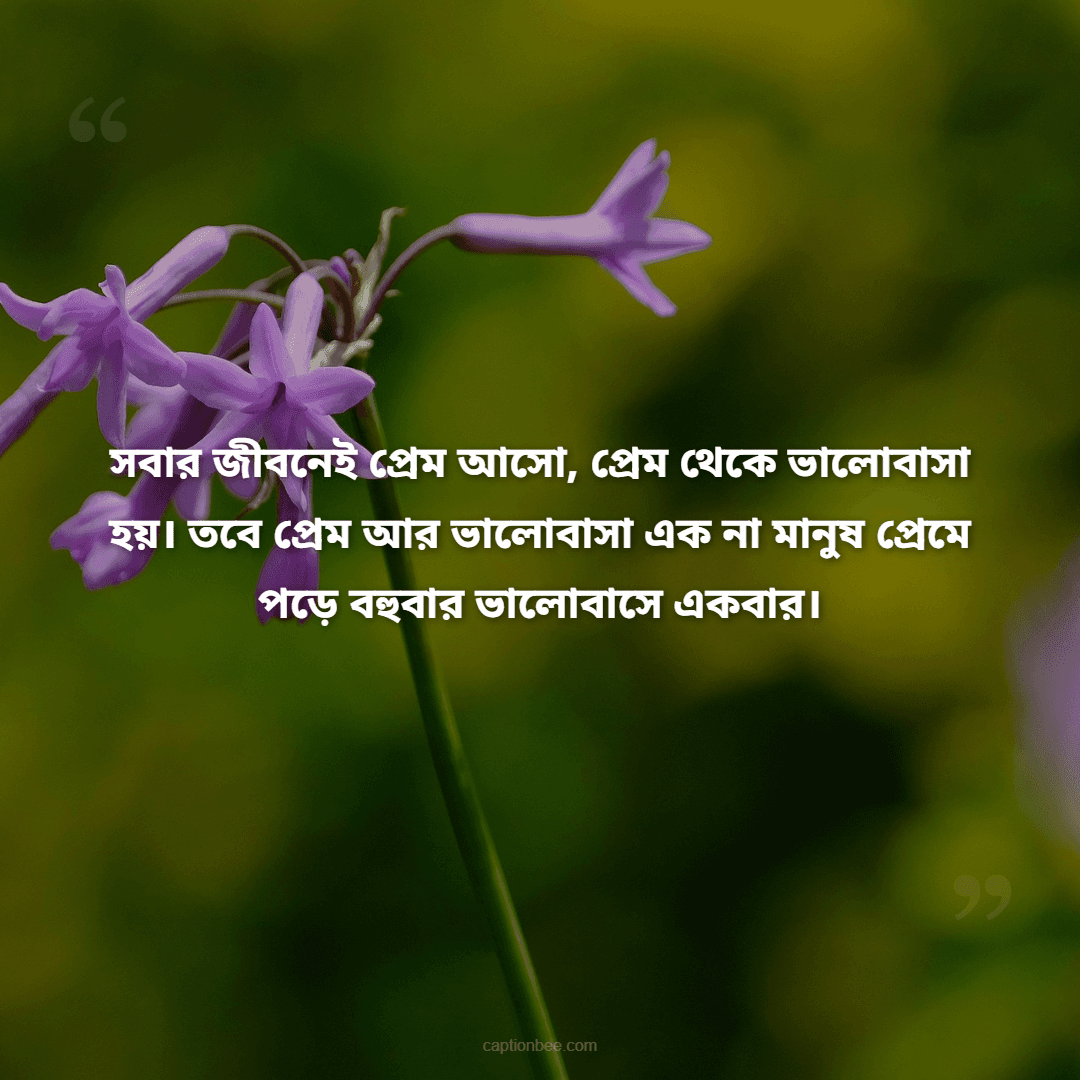 সবার জীবনেই প্রেম আসো, প্রেম থেকে ভালোবাসা হয়। তবে প্রেম আর ভালোবাসা এক না মানুষ প্রেমে পড়ে বহুবার ভালোবাসে একবার।