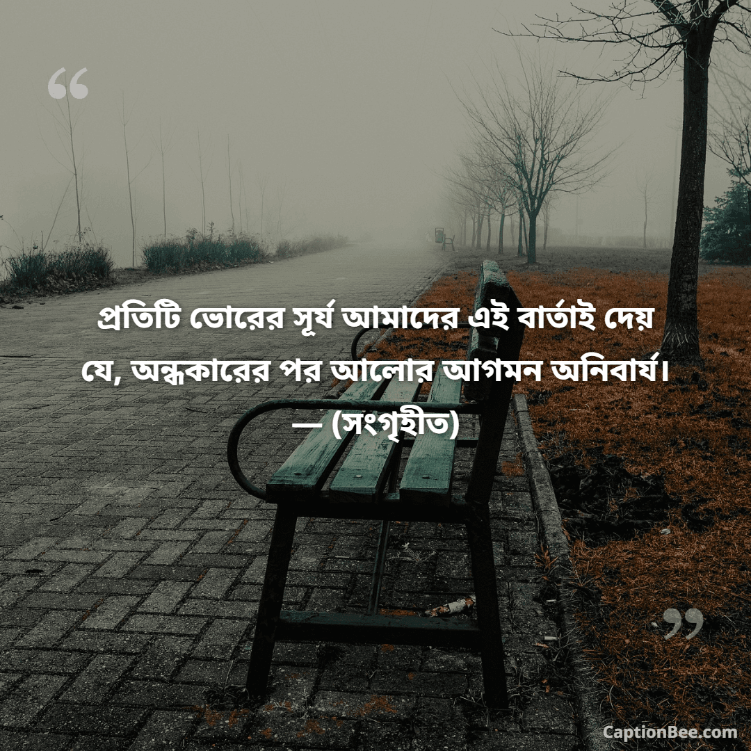 প্রতিটি ভোরের সূর্য আমাদের এই বার্তাই দেয় যে, অন্ধকারের পর আলোর আগমন অনিবার্য। — (সংগৃহীত)