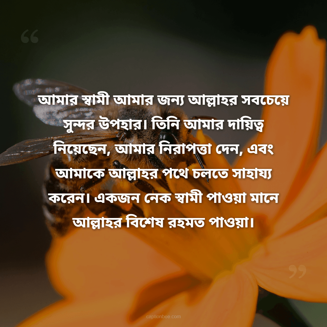 আমার স্বামী আমার জন্য আল্লাহর সবচেয়ে সুন্দর উপহার। তিনি আমার দায়িত্ব নিয়েছেন, আমার নিরাপত্তা দেন, এবং আমাকে আল্লাহর পথে চলতে সাহায্য করেন। একজন নেক স্বামী পাওয়া মানে আল্লাহর বিশেষ রহমত পাওয়া।