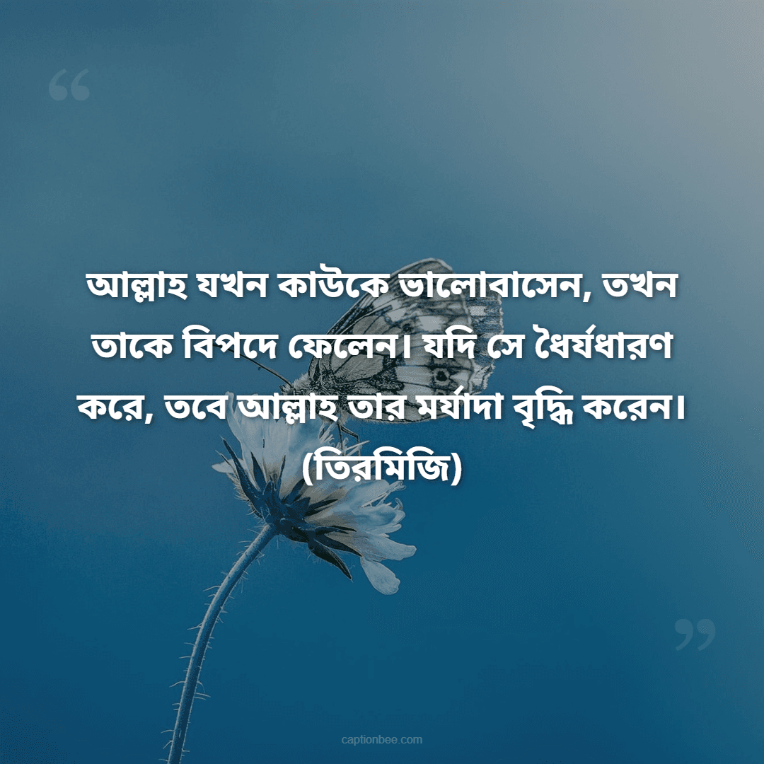 আল্লাহ যখন কাউকে ভালোবাসেন, তখন তাকে বিপদে ফেলেন। যদি সে ধৈর্যধারণ করে, তবে আল্লাহ তার মর্যাদা বৃদ্ধি করেন। -(তিরমিজি)
