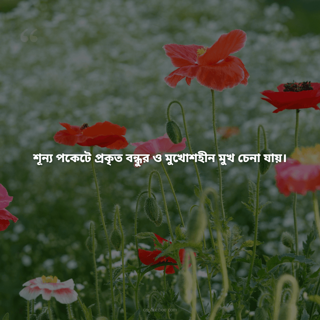 শূন্য পকেটে  প্রকৃত বন্ধুর ও মুখোশহীন মুখ চেনা যায়।
