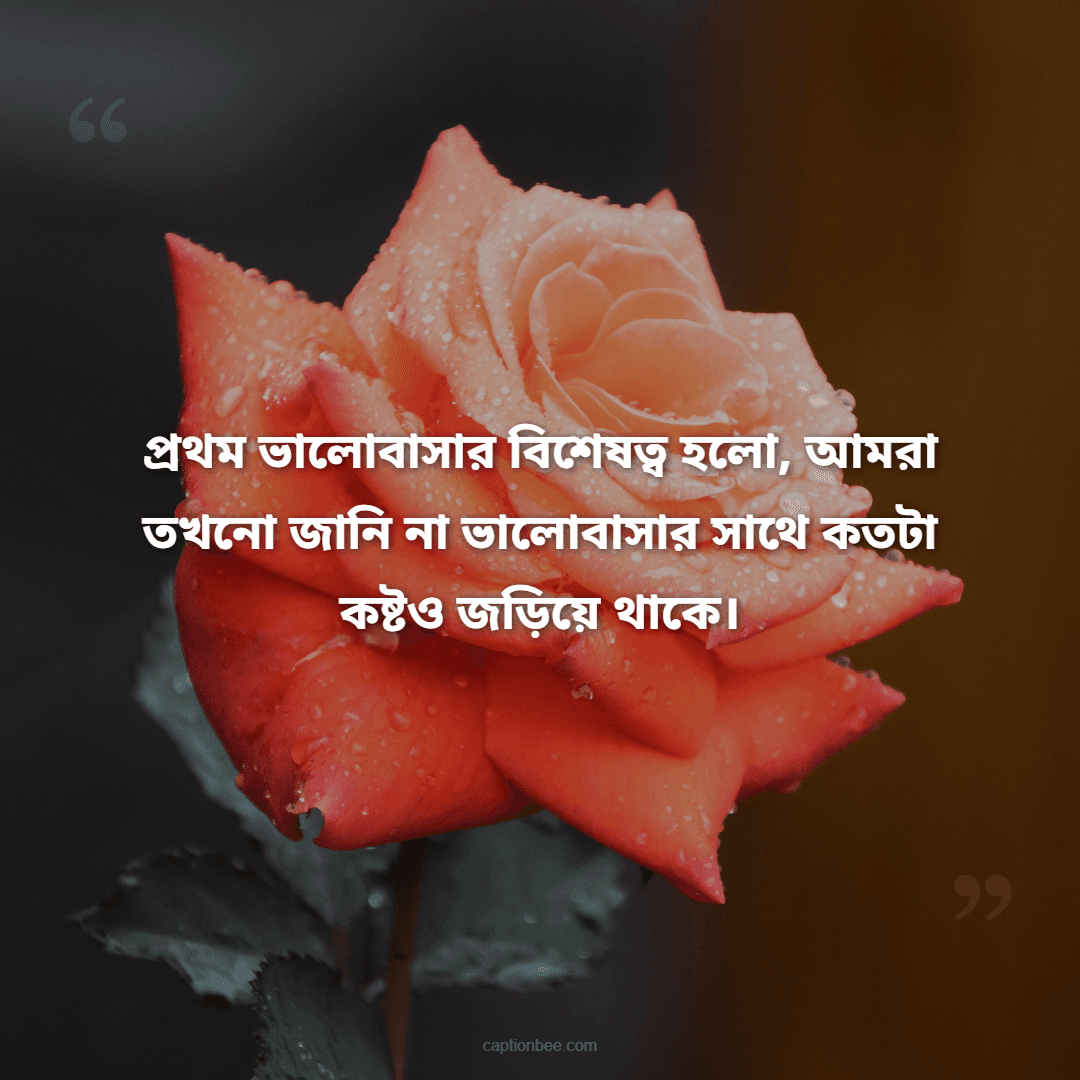 প্রথম ভালোবাসার বিশেষত্ব হলো, আমরা তখনো জানি না ভালোবাসার সাথে কতটা কষ্টও জড়িয়ে থাকে।