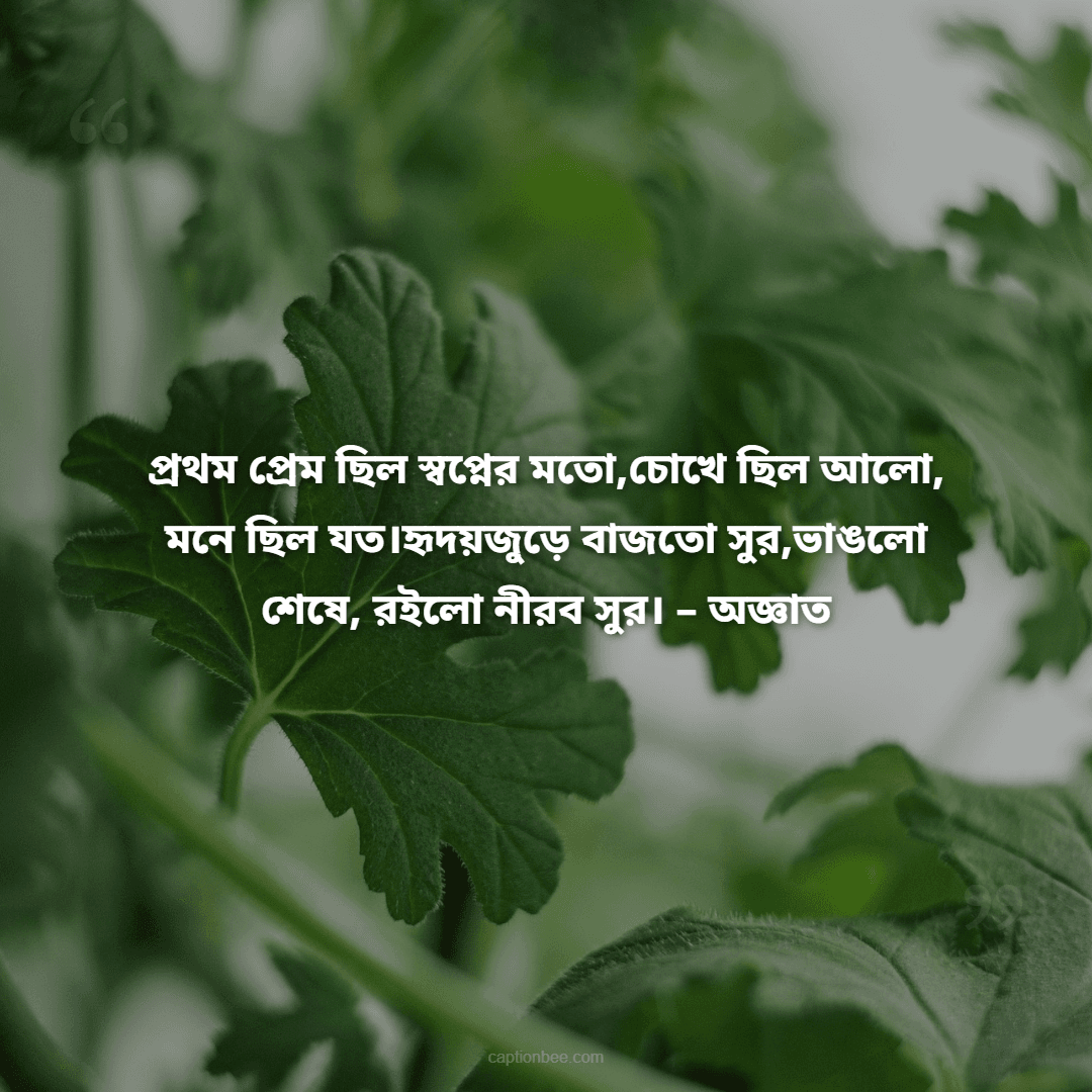 প্রথম প্রেম ছিল স্বপ্নের মতো,চোখে ছিল আলো, মনে ছিল যত।হৃদয়জুড়ে বাজতো সুর,ভাঙলো শেষে, রইলো নীরব সুর। – অজ্ঞাত