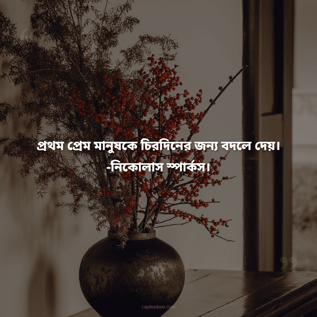যাবজ্জীবন দন্ড দিলাম তোমায়, প্রথম ও শেষ প্রেম আমার।