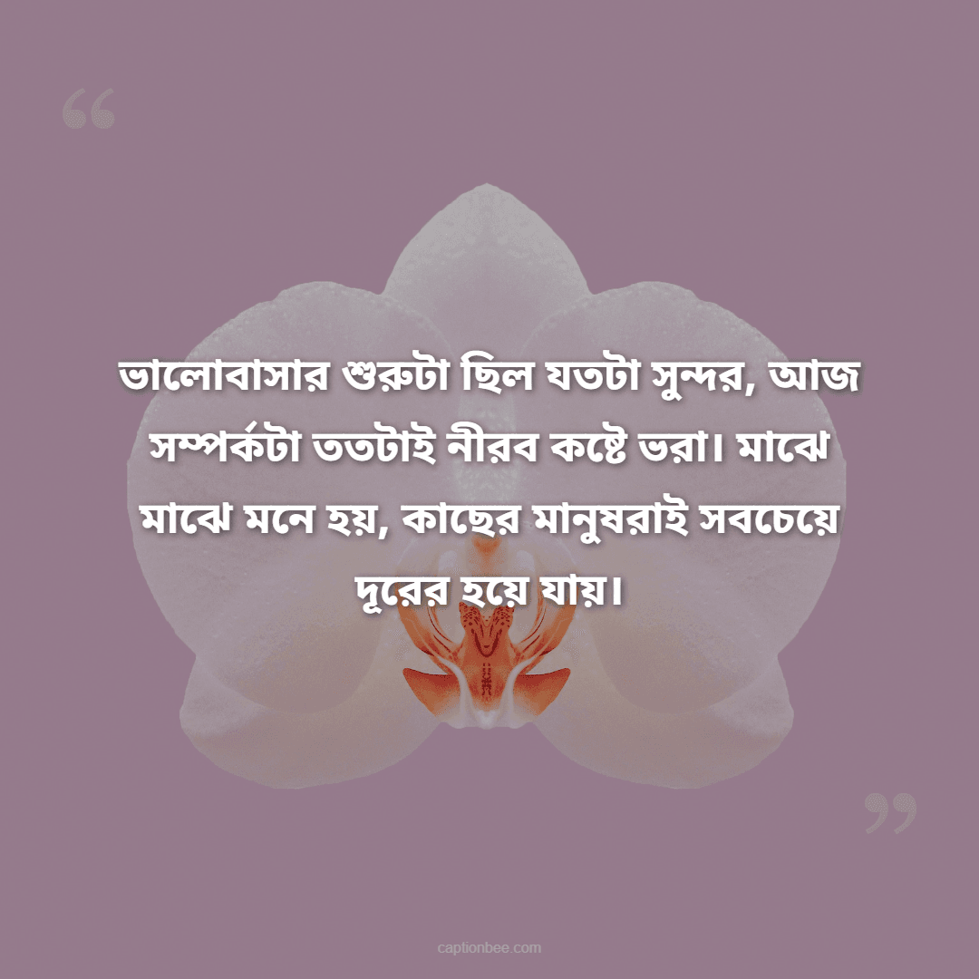 ভালোবাসার শুরুটা ছিল যতটা সুন্দর, আজ সম্পর্কটা ততটাই নীরব কষ্টে ভরা। মাঝে মাঝে মনে হয়, কাছের মানুষরাই সবচেয়ে দূরের হয়ে যায়।