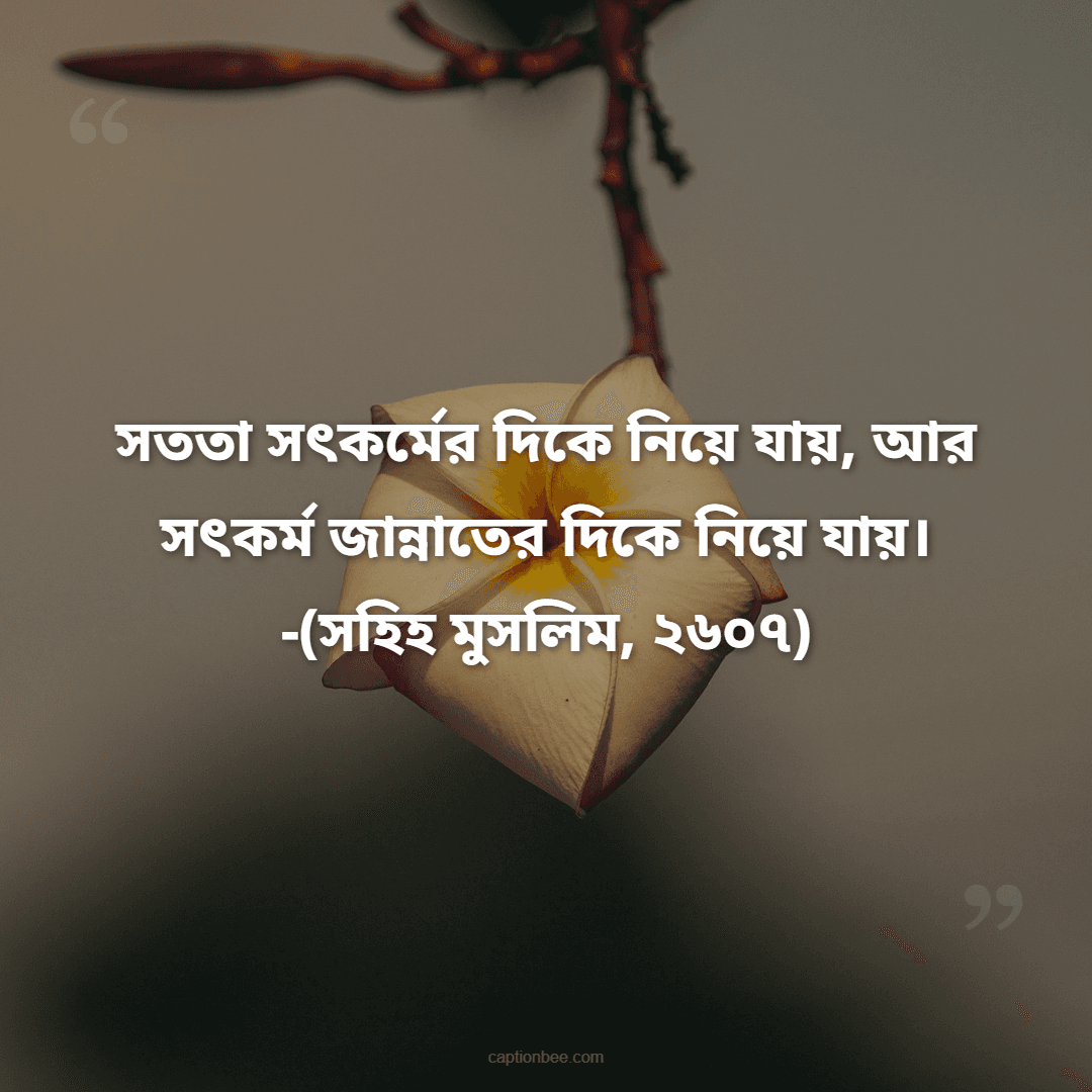 সততা সৎকর্মের দিকে নিয়ে যায়, আর সৎকর্ম জান্নাতের দিকে নিয়ে যায়। -(সহিহ মুসলিম, ২৬০৭)