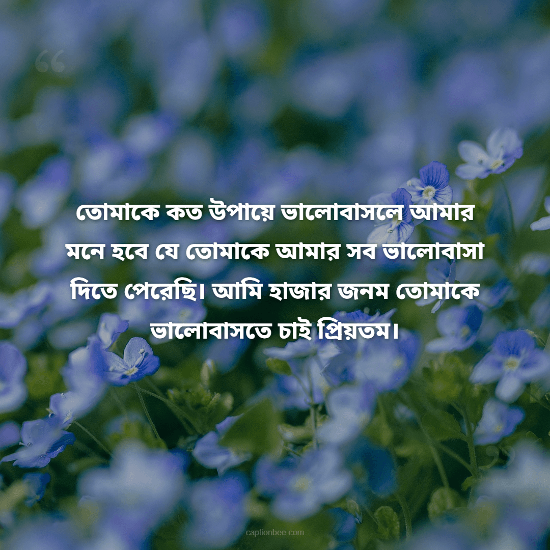 তোমাকে কত উপায়ে ভালোবাসলে আমার মনে হবে যে তোমাকে আমার সব ভালোবাসা দিতে পেরেছি। আমি হাজার জনম তোমাকে ভালোবাসতে চাই প্রিয়তম।