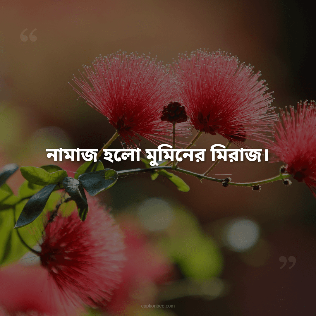 নামাজ হলো মুমিনের মিরাজ।