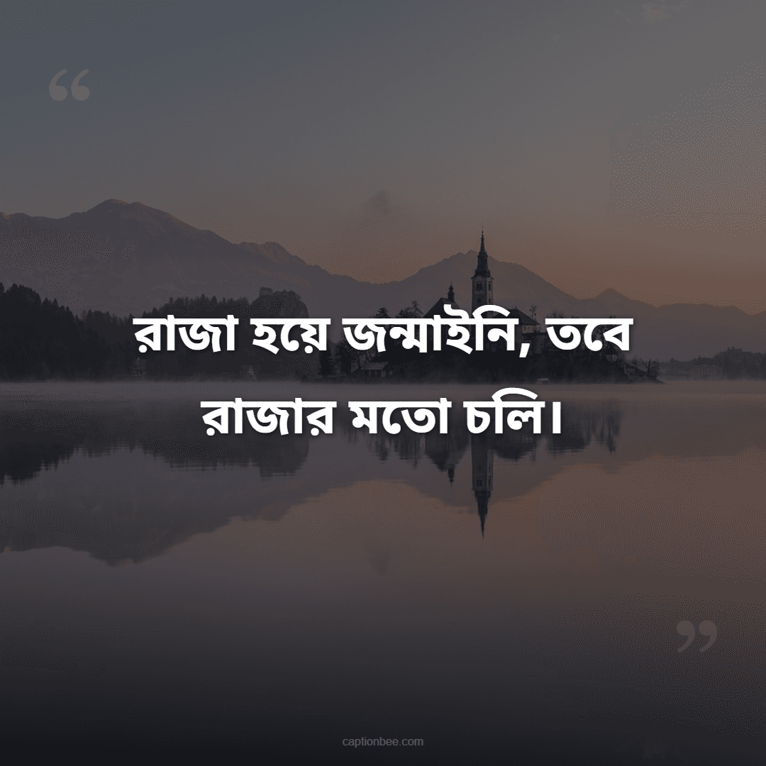 রাজা হয়ে জন্মাইনি, তবে রাজার মতো চলি।