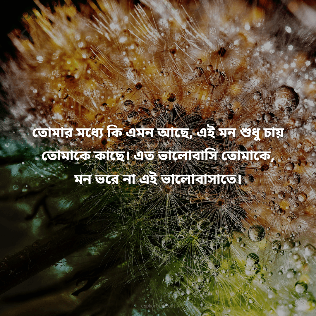 তোমার মধ্যে কি এমন আছে, এই মন শুধু চায় তোমাকে কাছে। এত ভালোবাসি তোমাকে, মন ভরে না এই ভালোবাসাতে।
