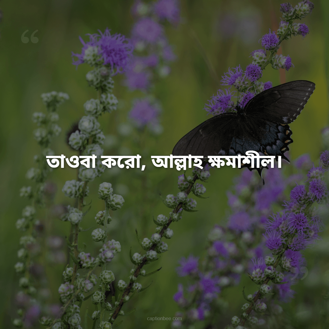 সবর করো, আল্লাহ তোমার সাথে আছেন।