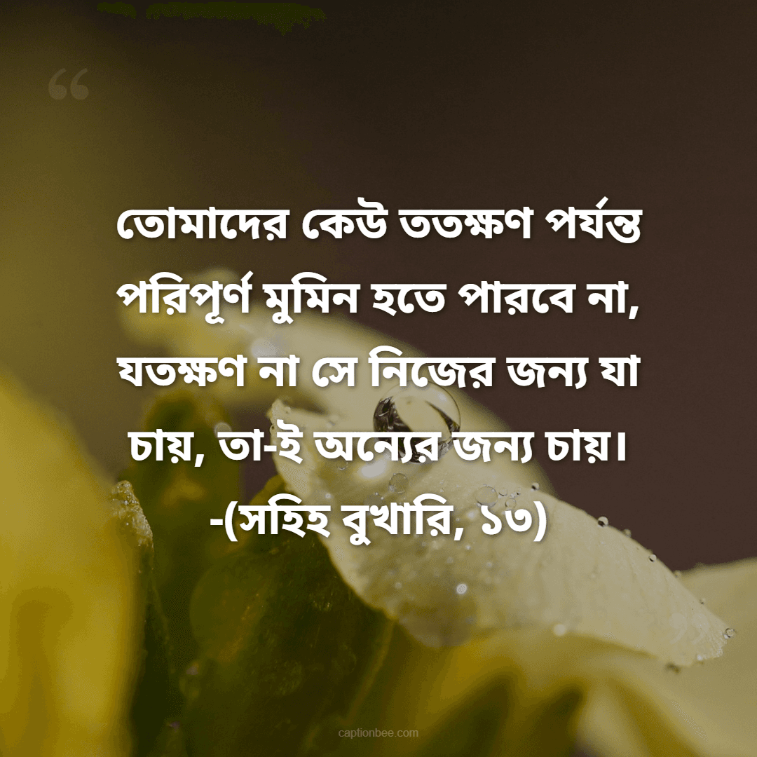 তোমাদের কেউ ততক্ষণ পর্যন্ত পরিপূর্ণ মুমিন হতে পারবে না, যতক্ষণ না সে নিজের জন্য যা চায়, তা-ই অন্যের জন্য চায়। -(সহিহ বুখারি, ১৩)